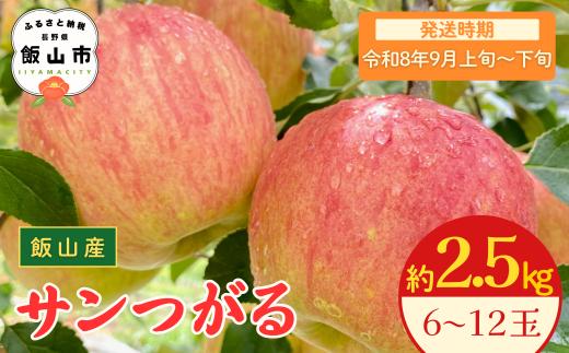【先行予約丨2026年9月上旬より順次発送】サンつがる【約2.5kg(6〜12玉)】(At-003)丨長野県 飯山市 おすすめ ランキング おいしい 高評価 大人気 先取り 産地直送 りんご
