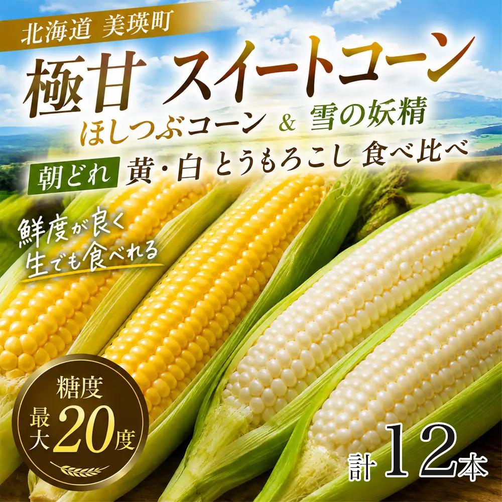 【令和9年産 先行予約】とうもろこし 雪の妖精 ほしつぶコーン 各6本 計12本 とうもろこし 北海道 スイートコーン