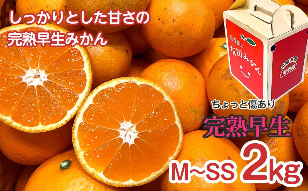 【 4年間 有田みかん 3種 食べくらべ ／ 全12回 】 ちょっと 傷あり 2kg × 3回 × 4年 コース 南泰園 みかん