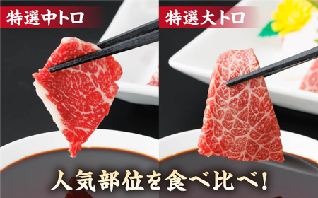 【12回定期便】特選霜降り馬刺し 中トロ大トロ2種食べ比べセット 計200g（各1pc）＋タレ小【馬刺しの郷 民守】 食べ比べ 2種 セット 馬刺しセット 中トロ 大トロ 馬刺し食べ比べ 馬刺しセット