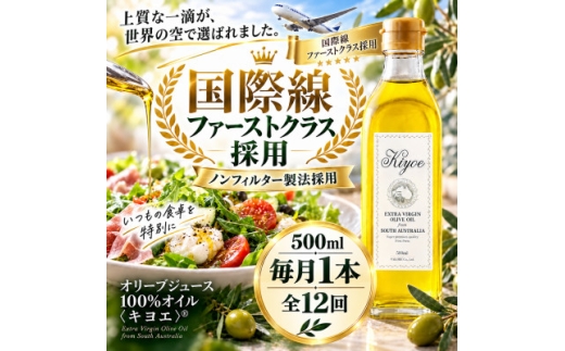 【毎月定期便】国際線ファーストクラス採用。かけるだけでおいしい「キヨエ」 500ml 1本全12回【4005676】