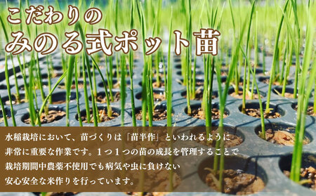  白米 5kg にこまる お米 栽培期間中農薬不使用 安心 安全 こだわり栽培 ビタミン ミネラル 食物繊維 豊富 おにぎり お弁当 ブランド米 徳島県 阿波市 米笑