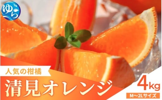 【来シーズン先行予約】家庭用 清見オレンジ 4kg   ※2026年3月上中旬～順次発送 / 清見 みかん 晩柑 人気 柑橘 スマイルカット  蜜柑 フルーツ 果物 くだもの 食品 人気 おすすめ 送料無料 産地直送 和歌山県 由良町【kzmn013】
