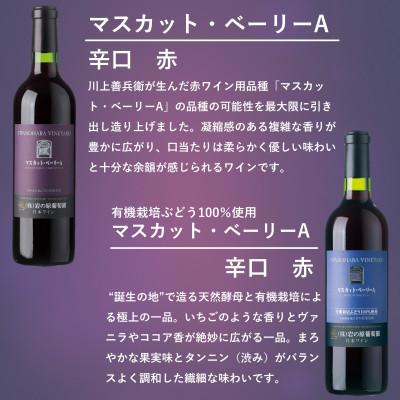 ふるさと納税 上越市 岩の原ワイン　「日本のワインぶどうの父」川上善兵衛が生み出したぶどう　赤ワイン4本セット |  | 02