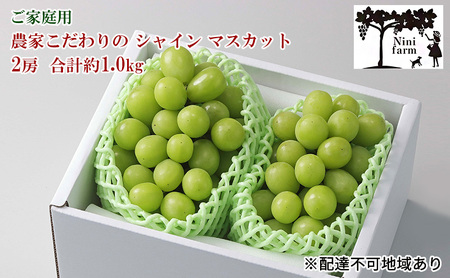 シャインマスカット 2026年 先行予約 ご家庭用 農家直送 2房 合計約1.0kg  岡山県産 シャインマスカット 