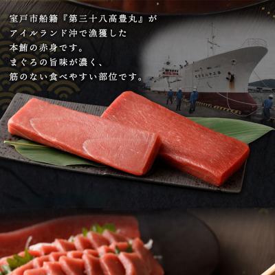 ふるさと納税 室戸市 お刺身ちょこっとパック　天然本まぐろ赤身5パック【アイルランド産天然本鮪 訳あり 規格外】 |  | 01