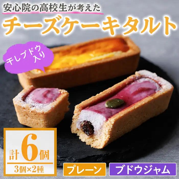 アップサイクルチーズケーキタルトセット(2種・合計6個) チーズケーキ お菓子 おやつ スイーツ 洋菓子 チーズ 冷凍【118900100】【大分県立安心院高等学校】