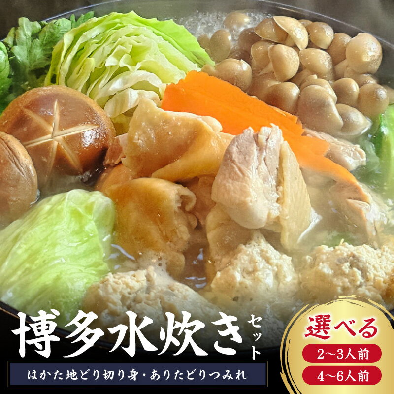 【ふるさと納税】＼選べる内容量！／博多水炊き(はかた地どり切り身・つみれ)セット 2～3人前 4～6人前 選べる 内容量 ふるさと納税 水炊き ふるさと納税 鍋 はかた一番どり 鶏 鶏肉 切り身 鍋用スープ付き 水炊きスープ つみれ ありたどりつみれ 柚子胡椒 セット