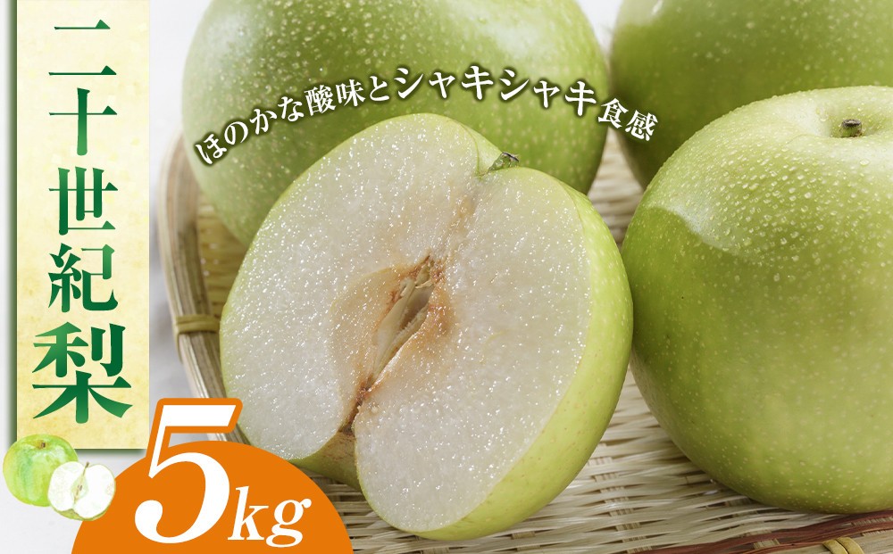 
                  二十世紀梨 5kg（JA）※2025年8月下旬～9月上旬頃に順次発送予定【梨 なし ナシ 二十世紀梨 フルーツ 果物 鳥取県 北栄町 おすすめ 人気】
                