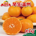 【ふるさと納税】 愛媛みかん 早生温州 7kg 家庭用 S~2L サイズ ミックス 南四国ファーム mikan みかん 不揃い 早生 温州 温州みかん 愛媛ミカン 愛媛蜜柑 果物 くだもの フルーツ 柑橘 蜜柑 産地直送 数量限定 国産 宇和島 B010-035001