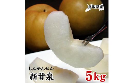 鳥取県産 新甘泉5kg【フォーシーズン】 312011_ES003