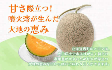 【先行予約】北海道森町産赤肉メロン2～3玉入り（1箱4kg前後）24年6月上旬～8月上旬頃順次発送＜道産ネットミツハシ＞  森町 メロン 果物 赤肉 北海道産 ふるさと納税 北海道 mr1-0142