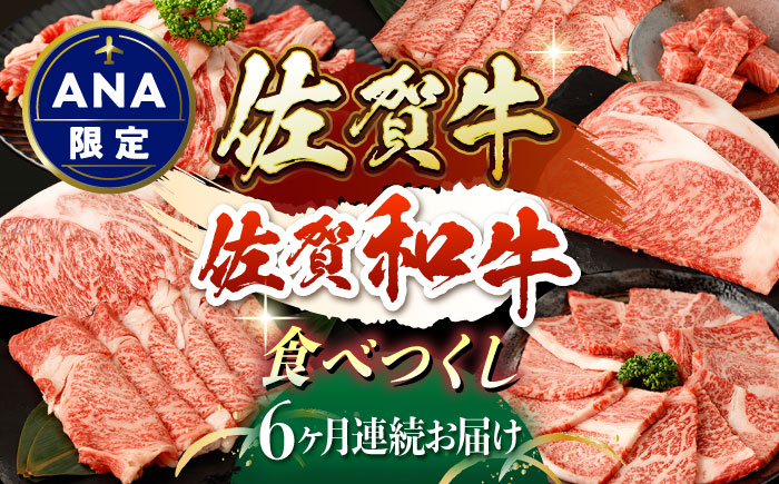 【ANA限定】【6回定期便】佐賀牛・佐賀和牛 食べつくし定期便 プレミアムコース【一ノ瀬畜産】 [NAC206]