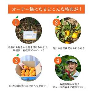自分の畑が持てる!オーナー制度:Dみかん収穫体験プラン ミヤモトオレンジガーデン【H25-157】【1501527】