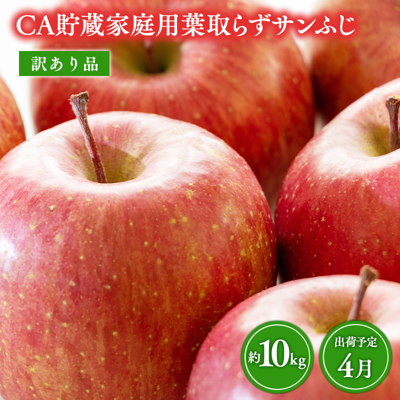 4月 CA貯蔵サンふじ 家庭用葉取らずサンふじりんご　約10kg