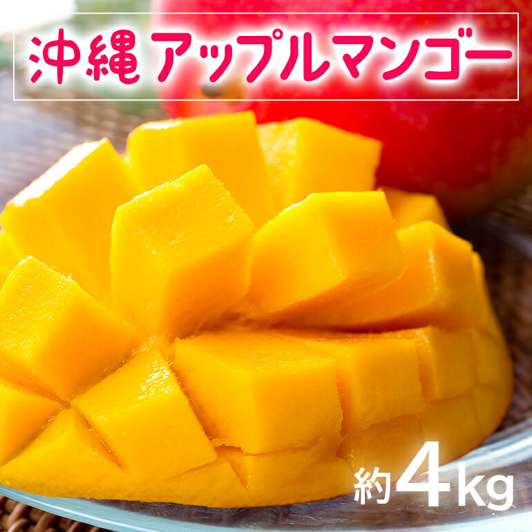【ふるさと納税】【 先行予約 2026年 発送 】お手頃 「沖縄 アップルマンゴー 」 4kg 沖縄県産 マンゴー アーウィンマンゴー 4キロ 国産 完熟マンゴー 果物 南国 くだもの フルーツ 完熟 夏 旬 お取り寄せ 産地直送 農家直送 甘い 濃厚 糸満市 送料無料