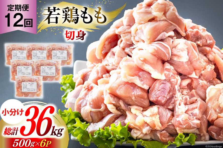 
                  定期便 12回 鶏肉 もも 鶏もも肉 切身 小分け 冷凍 500g 6p 総計 36kg [九州児湯フーズ 宮崎県 美郷町 31ai0027] 肉 精肉 鶏肉 若鶏 モモ モモ肉 もも肉 鳥もも肉 鳥モモ肉 鶏 真空 カット カット済み  国産 宮崎 美味しい
                