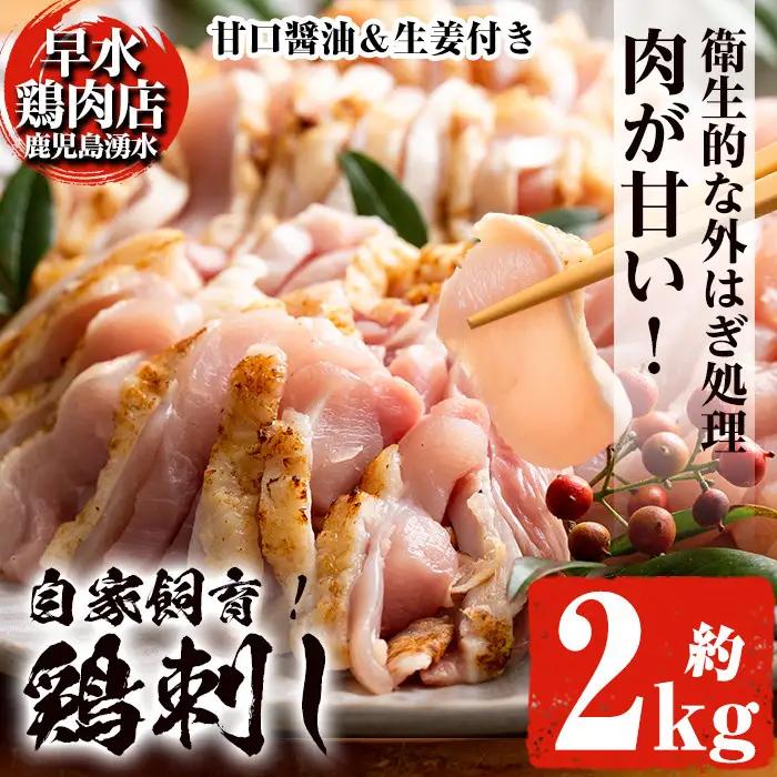 鳥刺し 鶏刺し 鹿児島県産 自家製鶏 鶏刺し 計2kg【早水鶏肉店】_y340