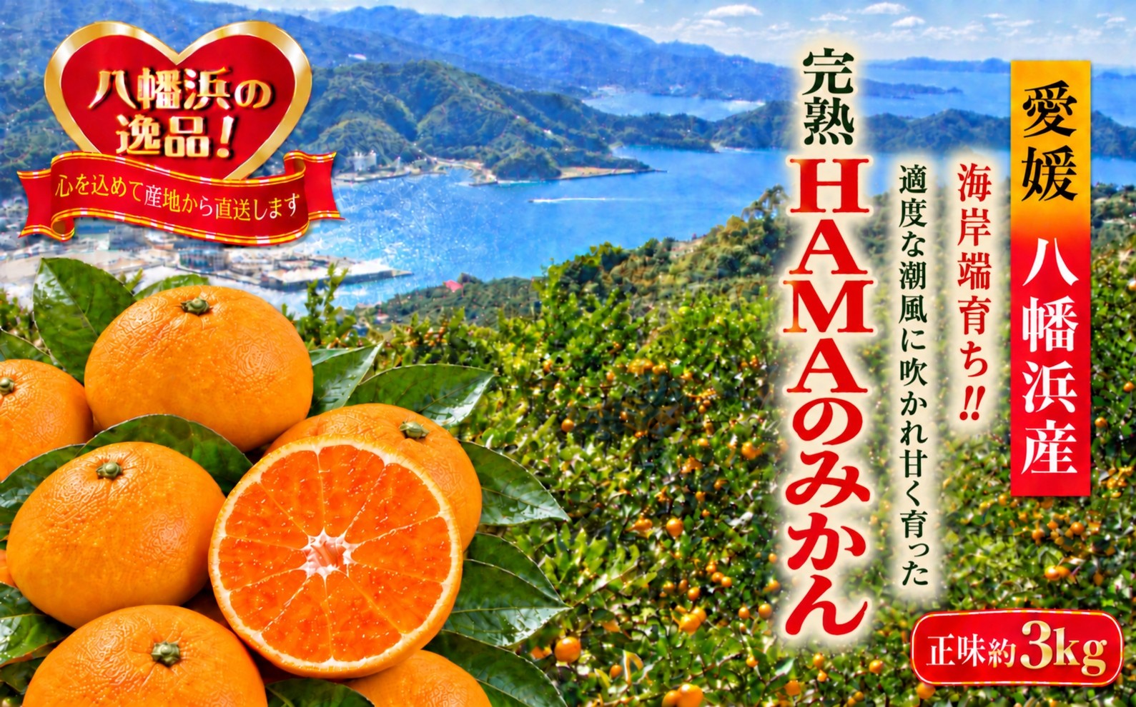 
                  【先行受付】ミネラルを運ぶ潮風に吹かれ甘く育ったみかんを厳選　完熟「HAMAのみかん」　正味約３ｋｇ【39-94】/ みかん ミカン 3kg 5kg 7kg フルーツ 果物  くだもの 柑橘 完熟 産地直送 愛媛県 八幡浜市 送料無料 YWTF069
                
