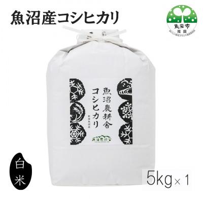 ふるさと納税 魚沼市 【令和7年産】米農家自慢の 魚沼産 コシヒカリ 精米 5kg×1袋 【魚沼農耕舎】