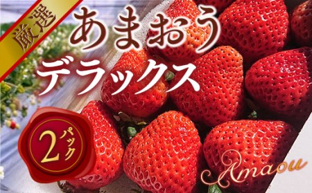 あまおうデラックス（2パック）先行予約　※2025年2月上旬～4月上旬にかけて順次出荷予定　MY001