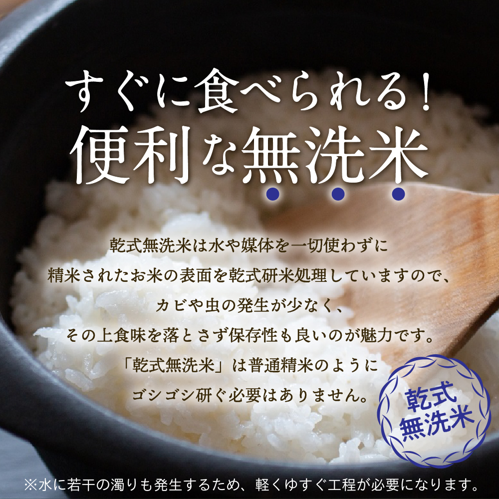 青森県産 無洗米 10kg まっしぐら （精米） 乾式無洗米