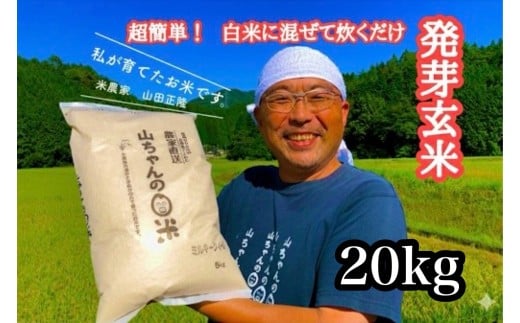 【10月1日発送開始】農家直送『山ちゃんの発芽玄米』20kg (540)