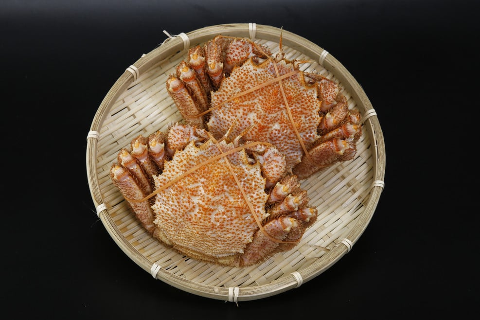 【定期便5回】海鮮地元漁師厳選 噴火湾産 海の幸 スペシャル 北海道 豊浦 うに いくら ホタテ 鮭 刺身 毛ガニ TYUR028