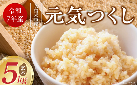 【令和7年産 新米】福岡県産ブランド米元気つくし 玄米 5kg_元気つくし 玄米 内容量 5kg 福岡県産 ブランド米 鮮度抜群 新鮮 福岡生まれ 品種 香り豊か ふっくら 食感 ご飯 おにぎり 弁当 お米 食品 お取り寄せ 九州 久留米産 福岡県 久留米市 送料無料_Gr067