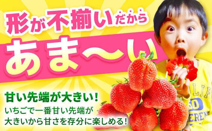 佐賀県産 いちごさん 計1kg以上（約250g×4P）いちご イチゴ 苺