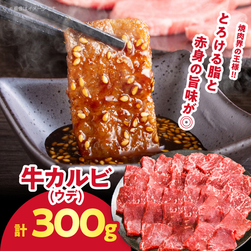 【2週間以内発送】≪訳あり≫牛&豚 贅沢盛り合わせ（牛モモ・カルビ・豚バラ）合計1.2kg 肉 牛 豚 豚肉 牛肉 おかず 国産_T025-045