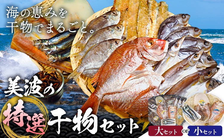 はまみや海産 美波 の 特選 干物セット 選べるセット 大 小《90日以内に出荷予定（土日祝除く）》徳島県 佐那河内村 干物 ひもの みりん干し 一夜干し---sanagouchi_hmk_2_hss--