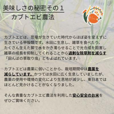 ふるさと納税 矢吹町 令和7年産米【真空包装】カブトエビと育む、栽培期間中農薬を減らしたやぶきのお米 コシヒカリ 5kg |  | 01