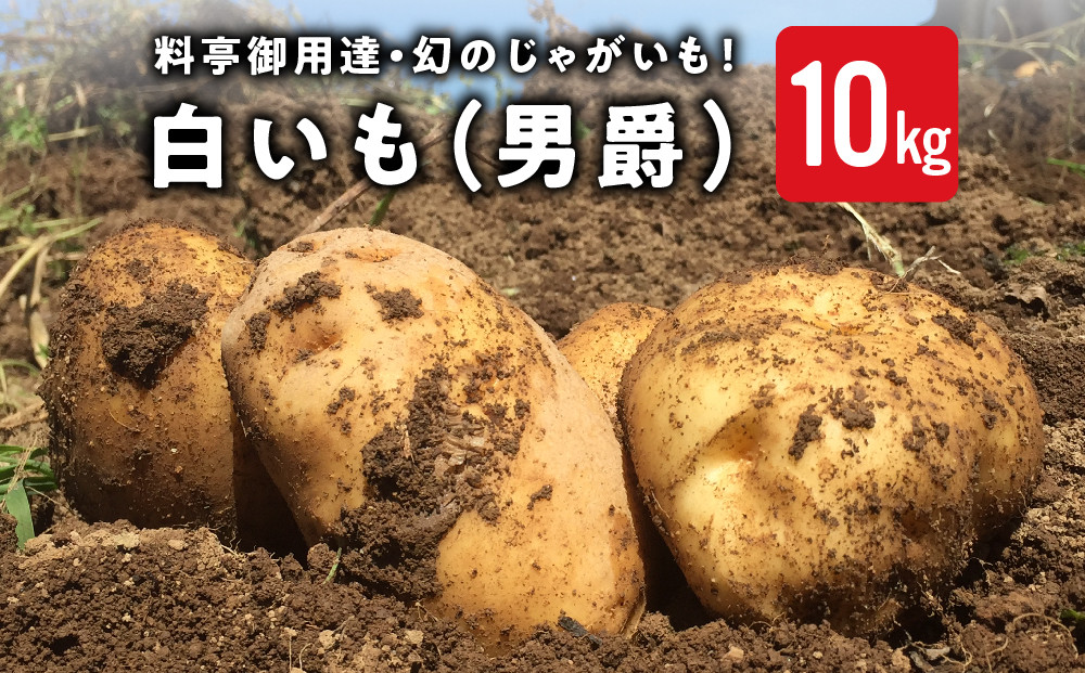 
            【先行受付2025年発送】料亭御用達！東御市産白いも10kg｜じゃがいも【数量限定】※2025年8月下旬～10月下旬に順次発送予定※着日指定不可
          