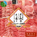 【ふるさと納税】【数量限定定期便】大分県産黒毛和牛（おおいた和牛） ・米の恵みプレミアム豚 バラエティ定期便6回お届け 冷凍 セット 国産 ブランド牛 牛肉 豚肉 もも 豚ロース 豚バラ うす切り 切り落とし ステーキ 焼肉 しゃぶしゃぶ A01081