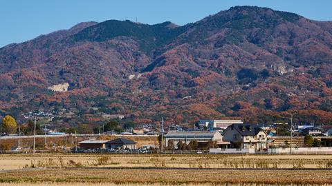 筑波山麓・羽鳥の沢水米 コシヒカリ 10kg 米 お米 コメ 精米 白米 桜川市 茨城県 [BN001sa]