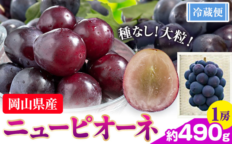 ぶどう ニューピオーネ 約 490g 1房  株式会社藍《9月中旬-10月下旬頃出荷》岡山県 浅口市 岡山県産 ぶどう フルーツ 果物 くだもの ピオーネ 送料無料 【配送不可地域あり】---124_c3252_9b10c_25_10000_1---st-p