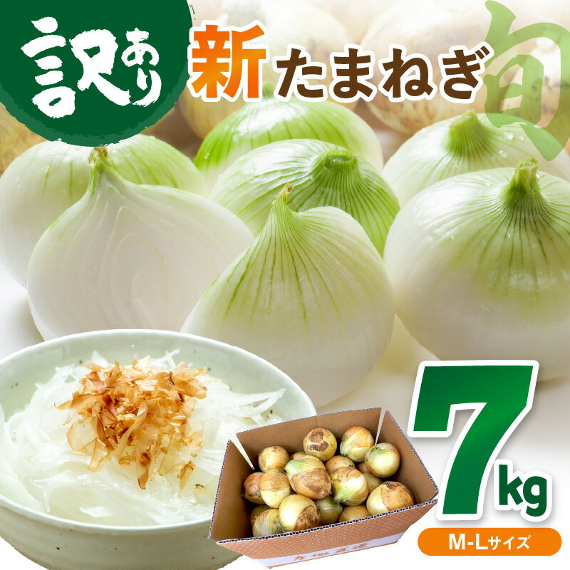 【ふるさと納税】＼野菜高騰中 新玉ねぎ／【訳あり】高評価★4.75【先行予約／数量限定】新たまねぎ 7kg （2025年5月中旬〜発送）甘い 新鮮 国産 玉ねぎ 7キロ 30～40玉 ふるさと納税 たまねぎ 訳あり 訳有り わけあり 不揃い ふぞろい やさい 京野菜 新たま