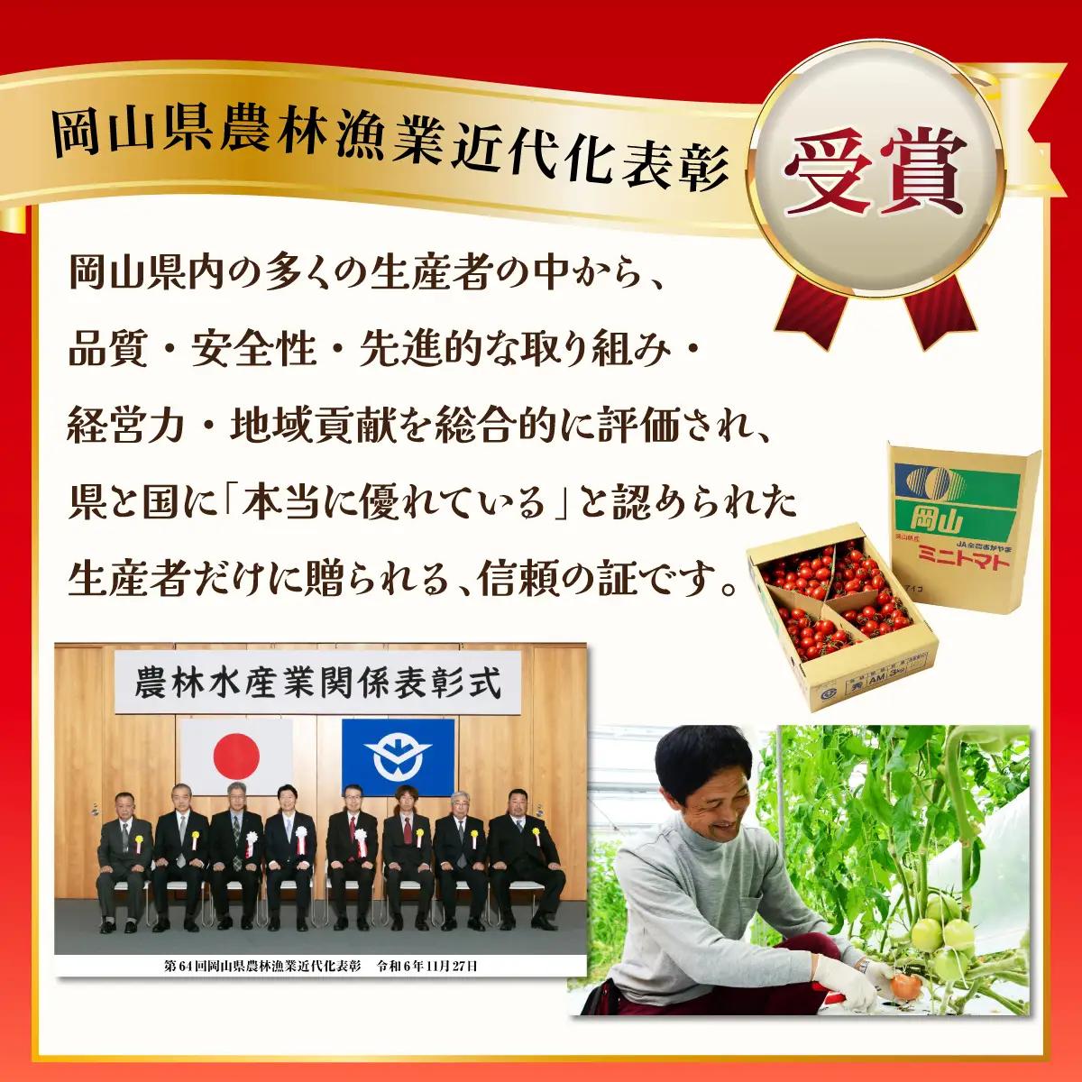 【先行予約】ミニトマト（アイコ）　3kg　Mサイズバラ詰め