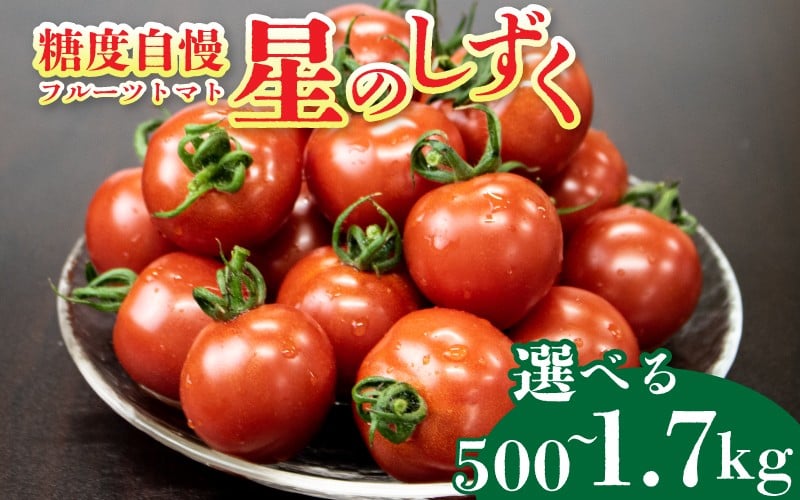 
                  トマト フルーツトマト 選べる 500g～1.7kg 定期便 3回 野菜 やさい トマト 薄皮 星のしずく 完熟 高糖度 糖度 8度 果物 スイーツ ジュース サワー パスタ スパゲティー ソース サラダ ドレッシング 鍋 サンドイッチ ハンバーガー ピザ カレー ラーメン ギフト 贈答 プレゼント お取り寄せ グルメ 送料無料 徳島県 阿波市 原田トマト
                