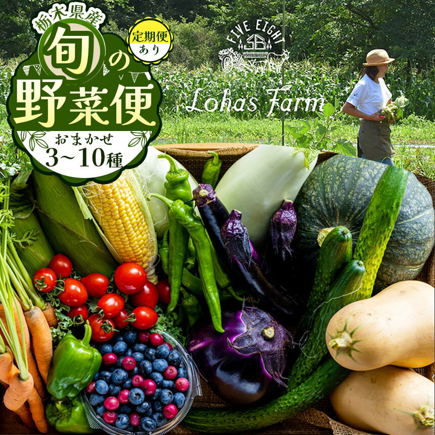 【ふるさと納税】【選べる定期便】栃木県産 旬の野菜 (果物) 便 3～10種 定期便あり 3回 6回 12回｜栃木県産 矢板市産 旬の野菜 フルーツ スイーツ デザート 果物 果実 産地直送 栃木県 矢板市