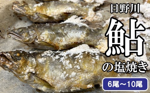 
            鮎の塩焼き
          