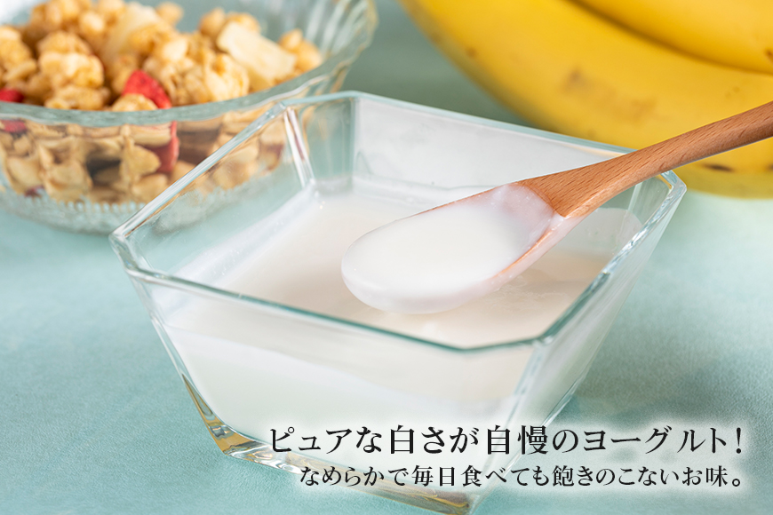 【定期便】H61乳酸菌「からだ想いﾖｰｸﾞﾙﾄ」 ２０個×定期４回