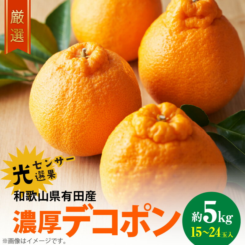 【ふるさと納税】【2026年先行予約】【限定】 デコポン 約 5kg 15~24玉 サイズ おまかせ 糖度 13度以上 光センサー 選果 こだわり 厳選 濃厚 甘さ 適度 酸味 不知火 フルーツ 果物 デザート 柑橘 果実 濃厚 甘味 国産 食べ物 お取り寄せフルーツ 和歌山県 湯浅町 送料無料
