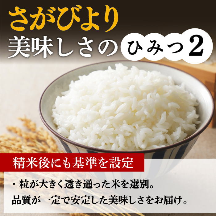 【新米 令和7年産】【全3回定期便】さがびより 計30kg（5kg✕2袋）3回定期便 吉野ヶ里町/増田米穀 [FBM006]