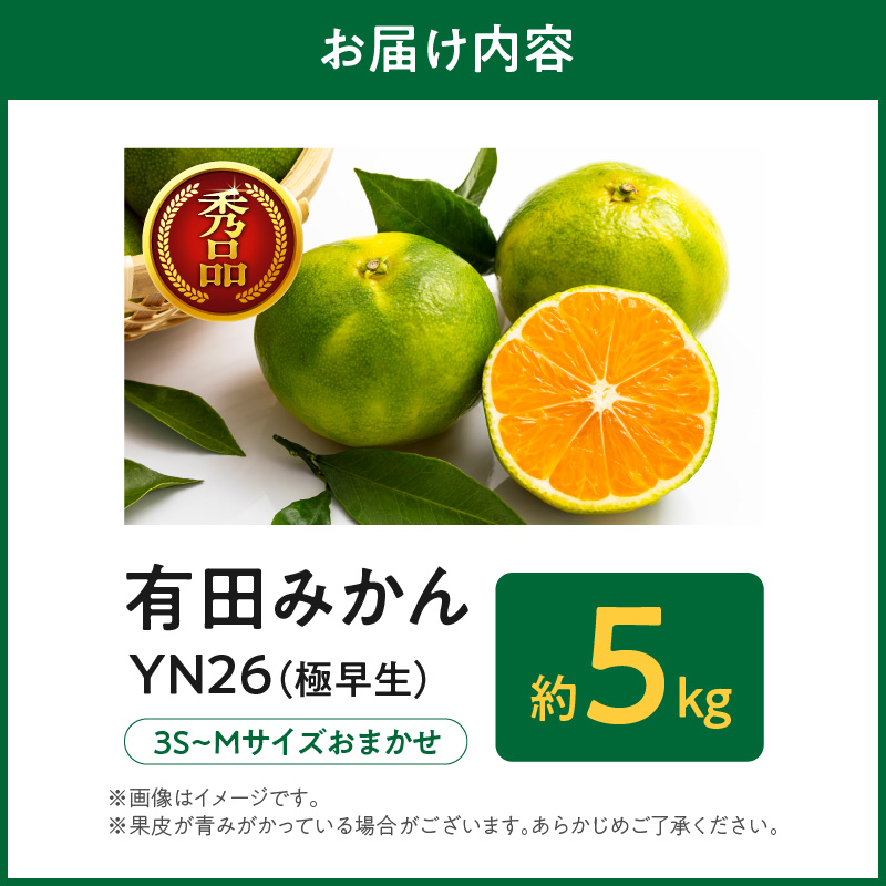 ZT6403_有田みかん　極早生　秀品　約5Kg