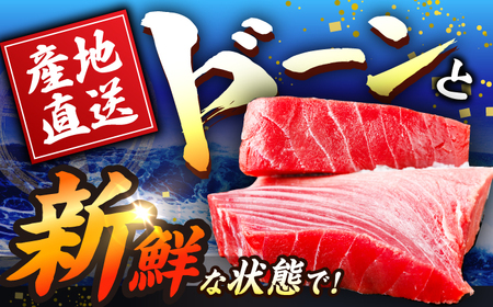 長崎県産 本マグロ「中トロ」(約800g) 中とろ マグロ まぐろ 鮪 マグロ刺身 ブロック トロ 刺身 さしみ 刺し身 冷凍 東彼杵町/大村湾漁業協同組合&nbsp;[BAK037]