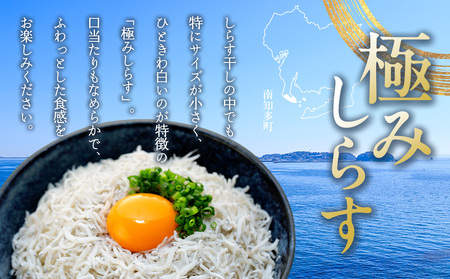 しらす 1kg ( 1kg × 1箱 ) 冷凍 極み ちりめん しらす干し 減塩 釜揚げ ごはん 丼 パスタ チャーハン サラダ 魚 料理 山庄 愛知県 南知多町 師崎