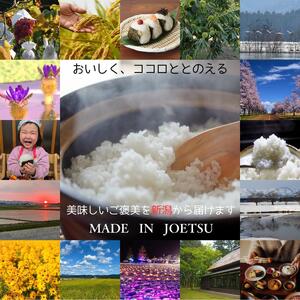 令和7年度産　上越市産コシヒカリ　5kg　新米　精米　新潟　米　新潟県　こしひかり　限定　おすすめ