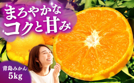 【期間限定】青島みかん5kg[EAZ008]温州みかん